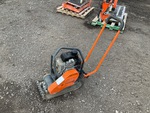 General Appearance with Featured Photo