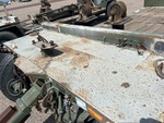 General Appearance with Paint