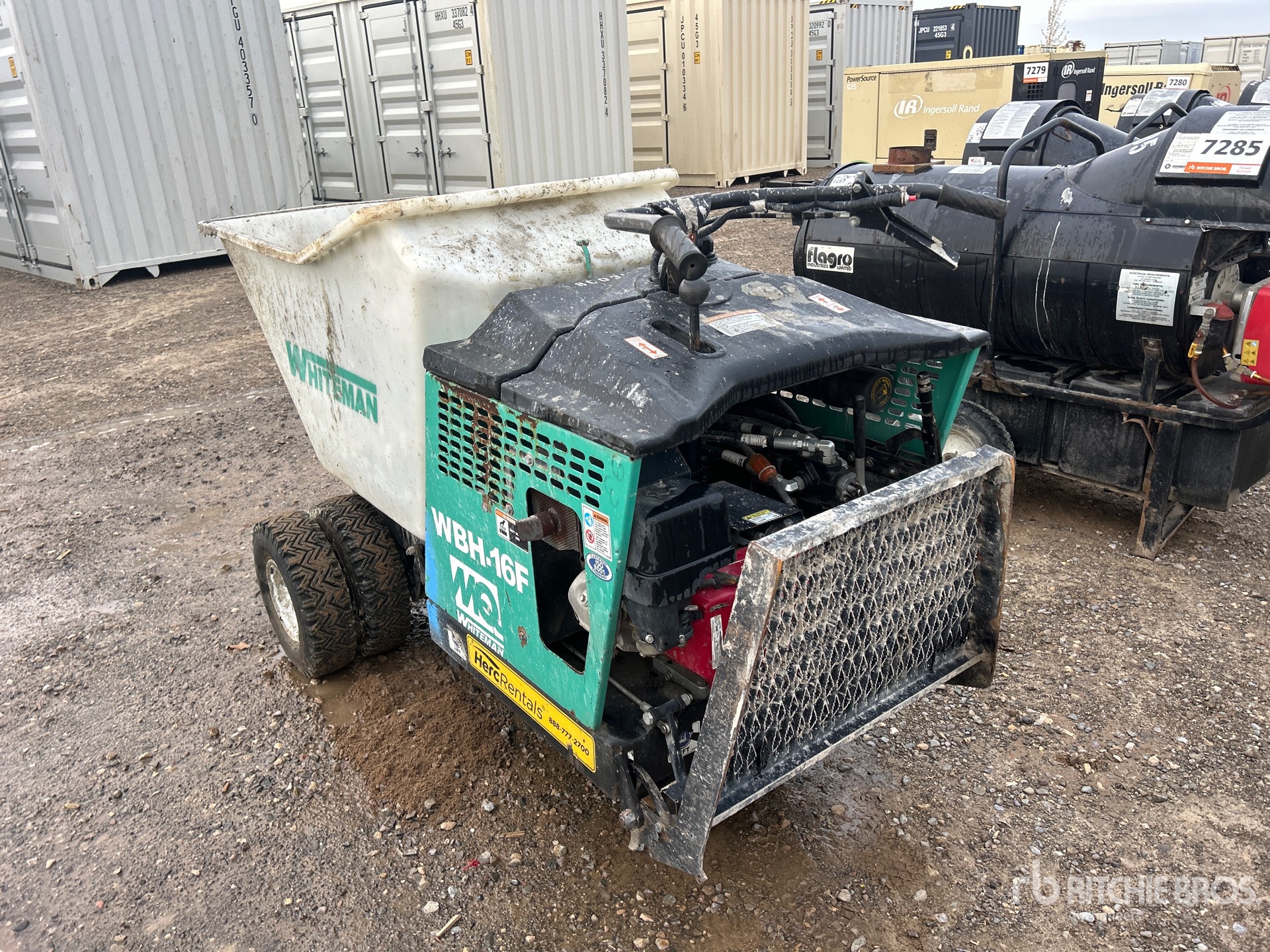 General Appearance with Zdjęcie, lewy dolny róg