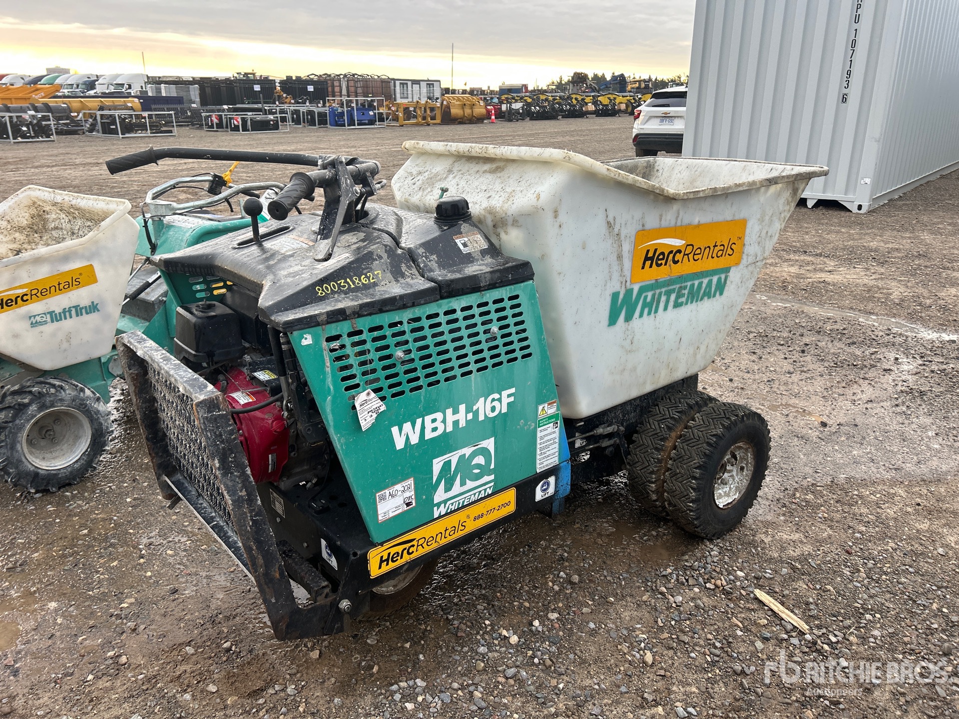 General Appearance with Zdjęcie, prawy dolny róg