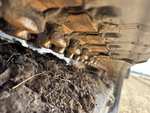 Undercarriage with 