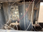 Basic Air Compressor* with 