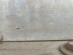 General Appearance with Numero seriale/numero d’identificazione del veicolo (VIN)