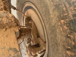Brakes with 