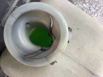 Engine with Cooling System Leaks