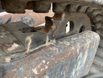 Undercarriage with 