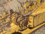 Chassis with Soportes giratorios del brazo pulsador