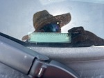 General Appearance with Second Serial Number/VIN Photo