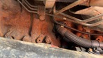Moteur with 