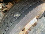 Underbody with 