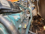 Engine with Fuel Leaks