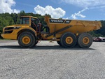 General Appearance with Paint