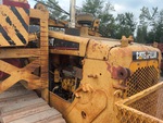 General Appearance with Paint