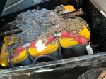 4 Engine with 