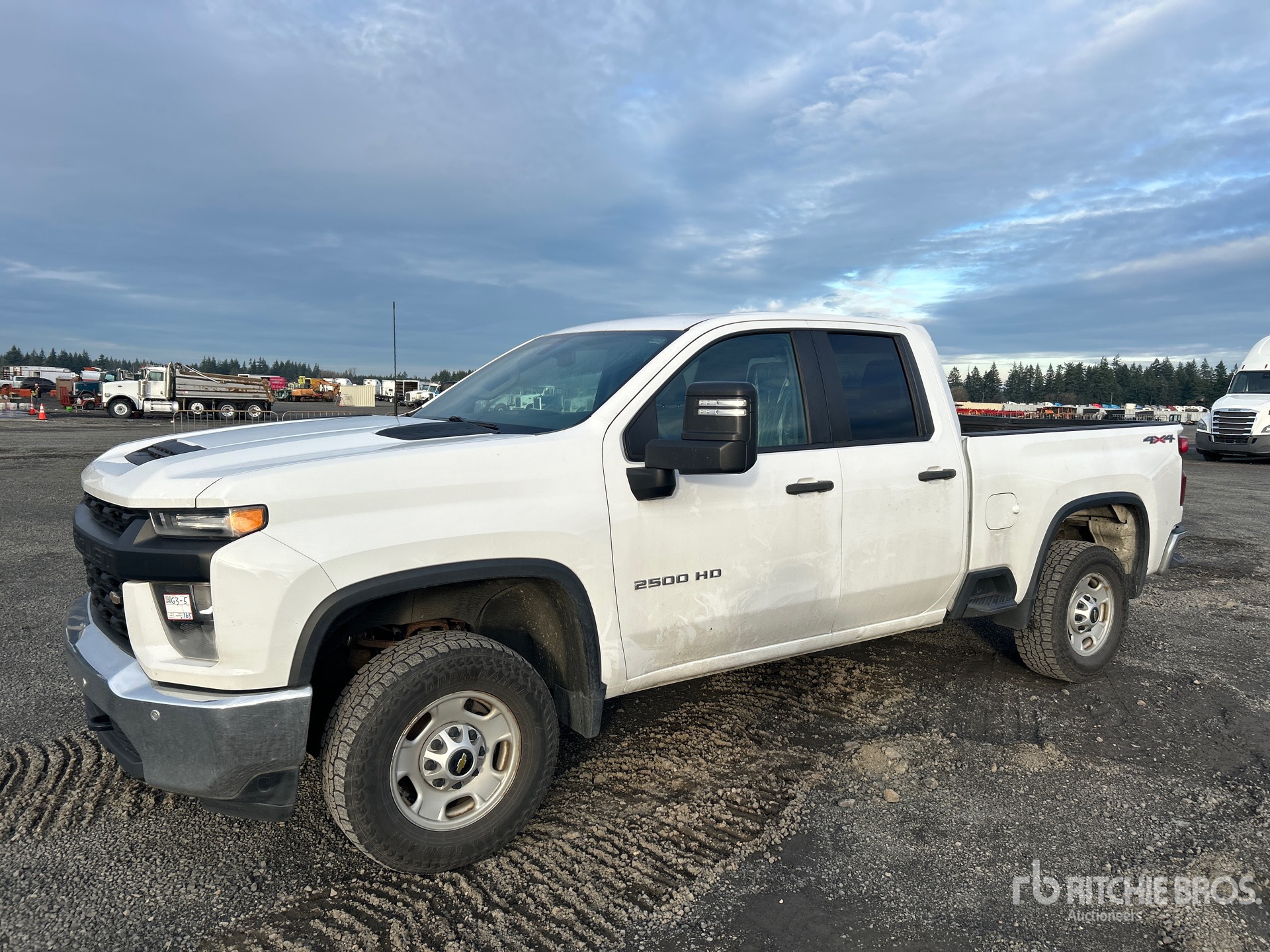 General Appearance with Spin