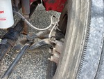 Brakes with 