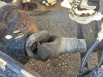 Drivetrain with 