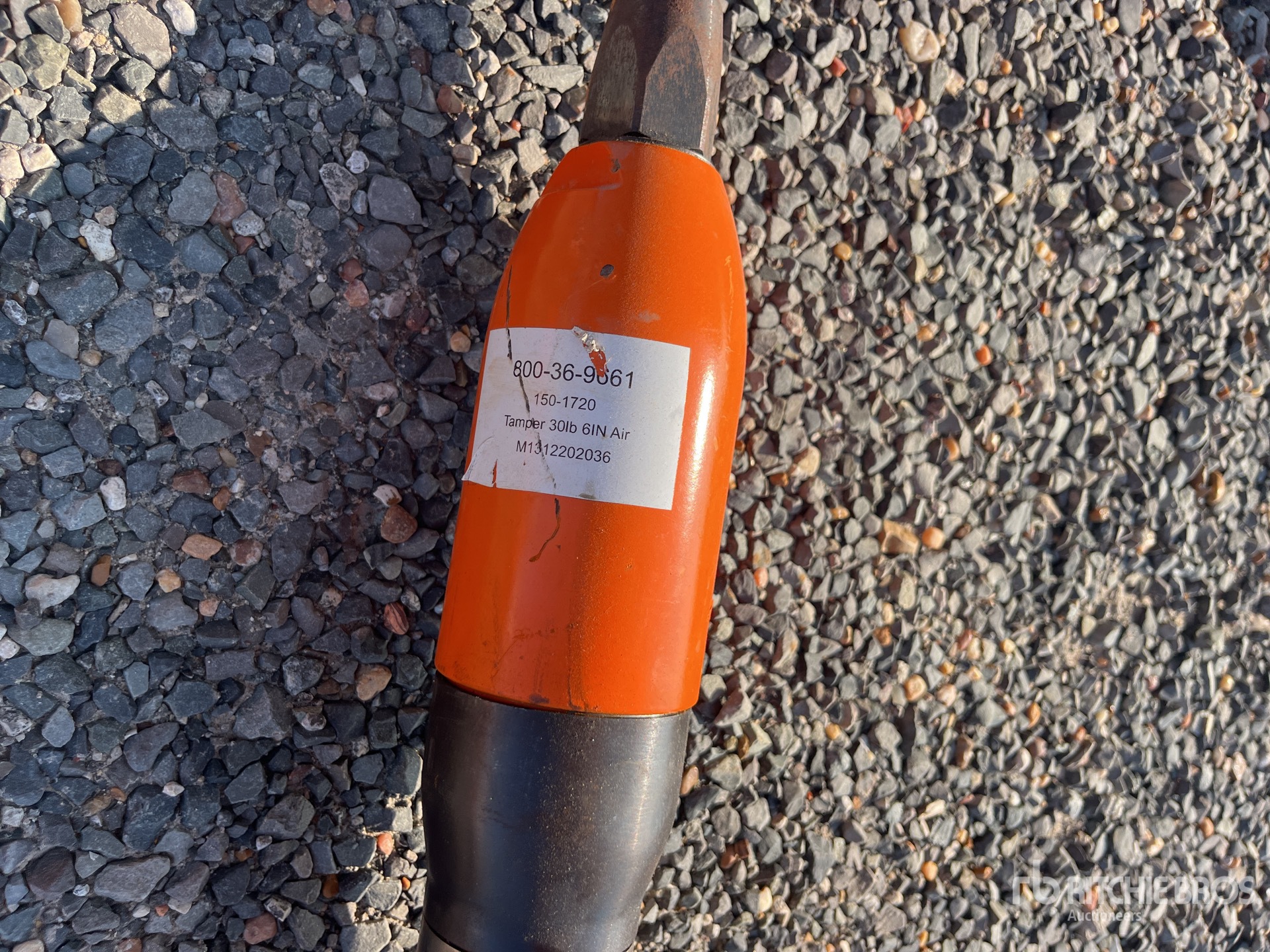 General Appearance with Numero seriale/numero d’identificazione del veicolo (VIN)