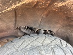 Underbody with 