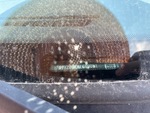 General Appearance with Second Serial Number/VIN Photo