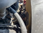 Motor with 