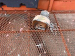 Basic Control Station Upper with 