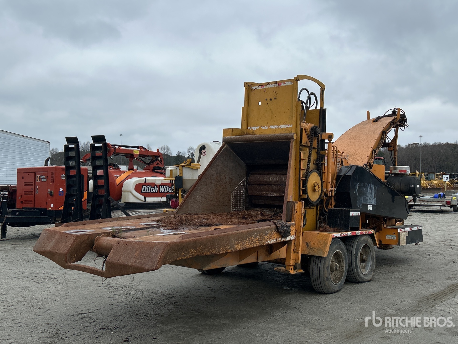 General Appearance with Zdjęcie, prawy dolny róg