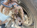 Brakes with 