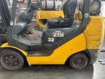 General Appearance with Paint