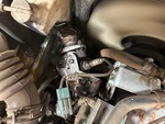 Engine with Exhaust System