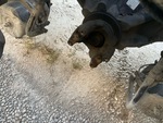 Drivetrain with 