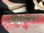 General Appearance with Second Serial Number/VIN Photo