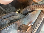 General Appearance with Second Serial Number/VIN Photo