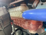 Motore with Cooling System Leaks