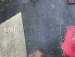 General Appearance with Second Serial Number/VIN Photo
