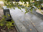 Picture, Left Rear Corner