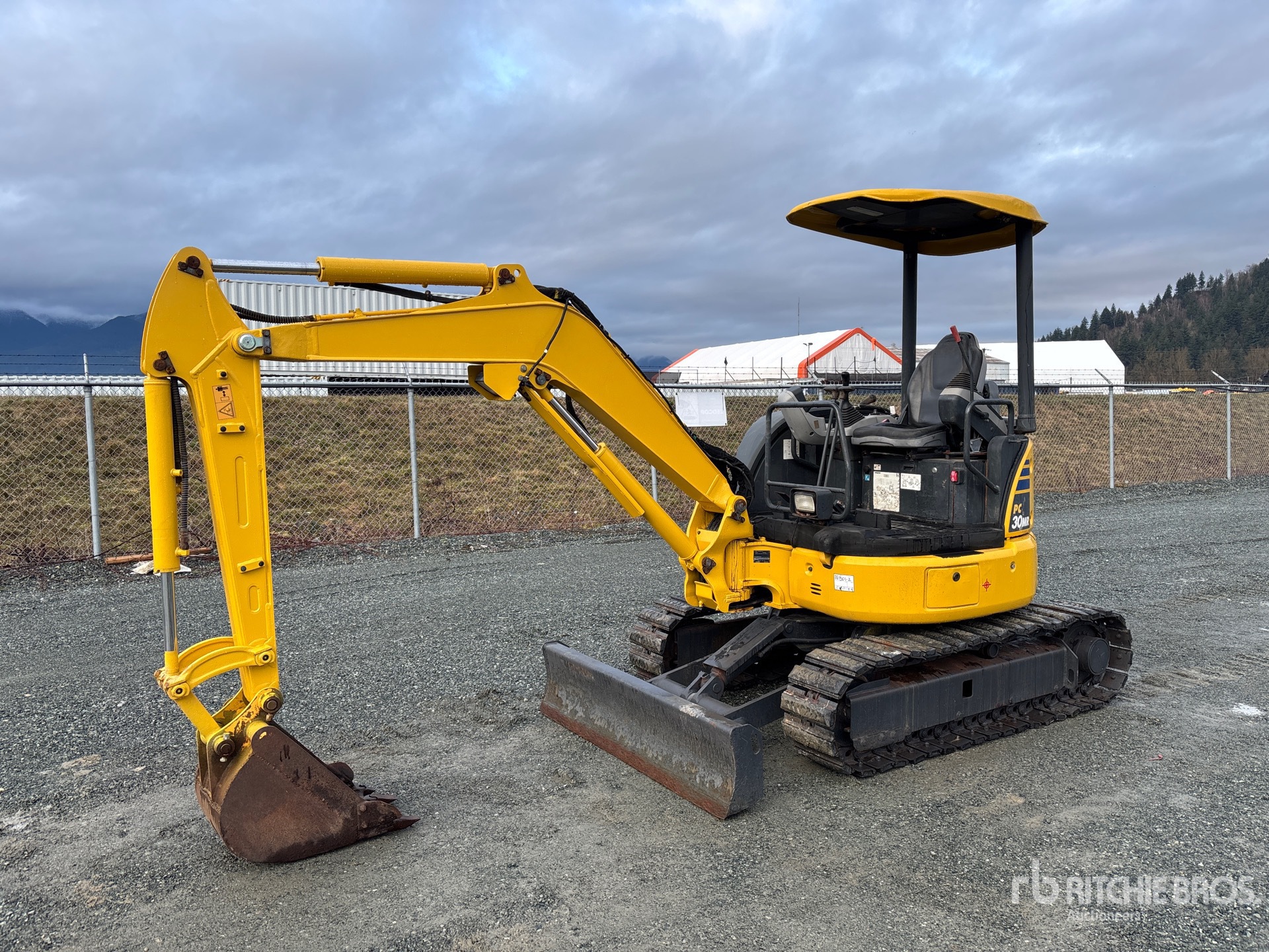 General Appearance with Spin