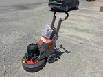 General Appearance with Featured Photo