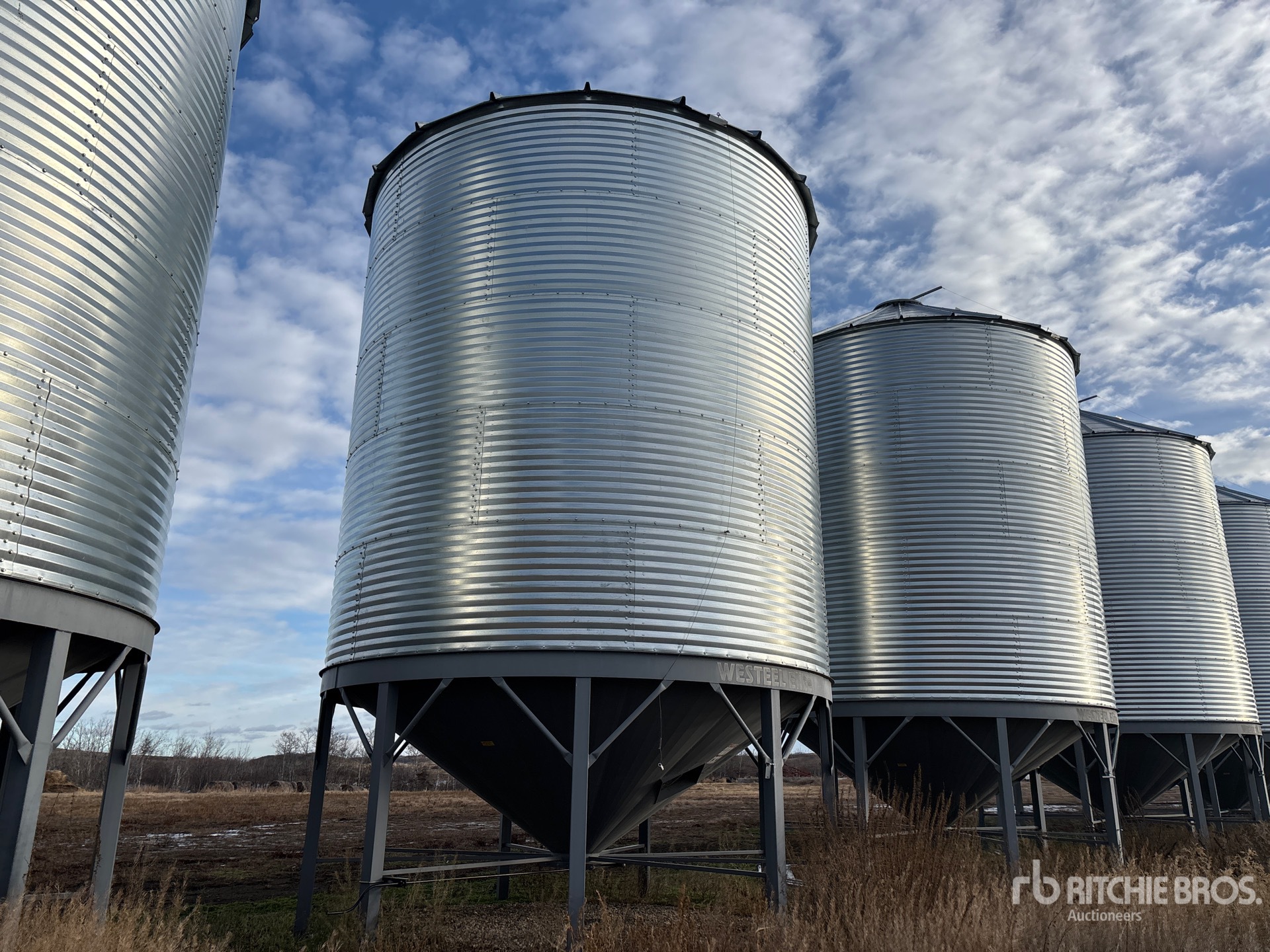 General Appearance with Zdjęcie, lewy dolny róg