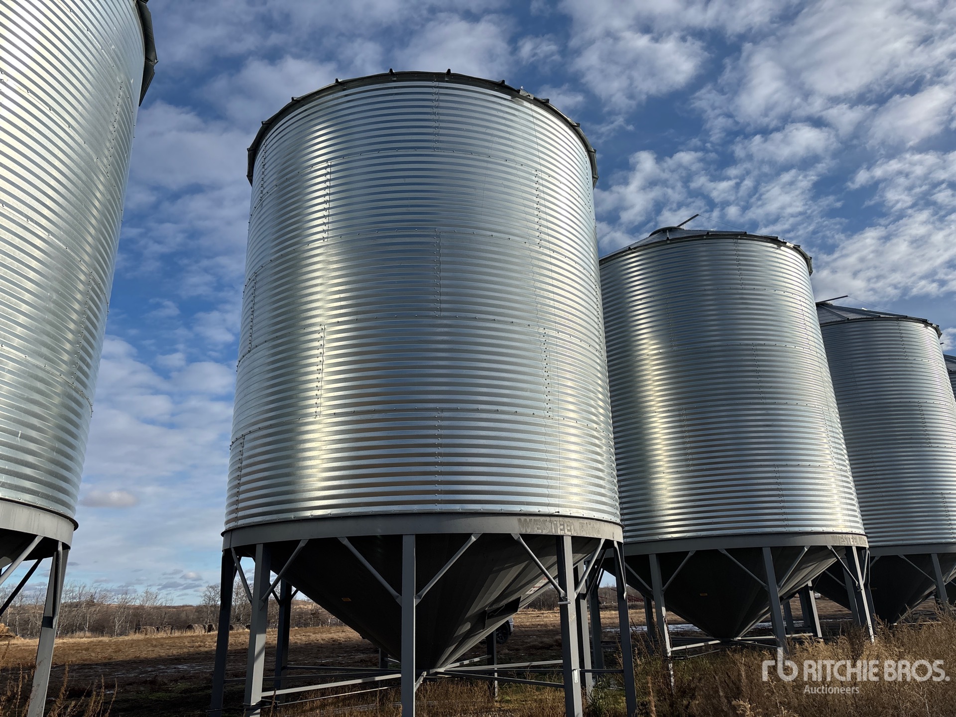 General Appearance with Zdjęcie, lewy dolny róg