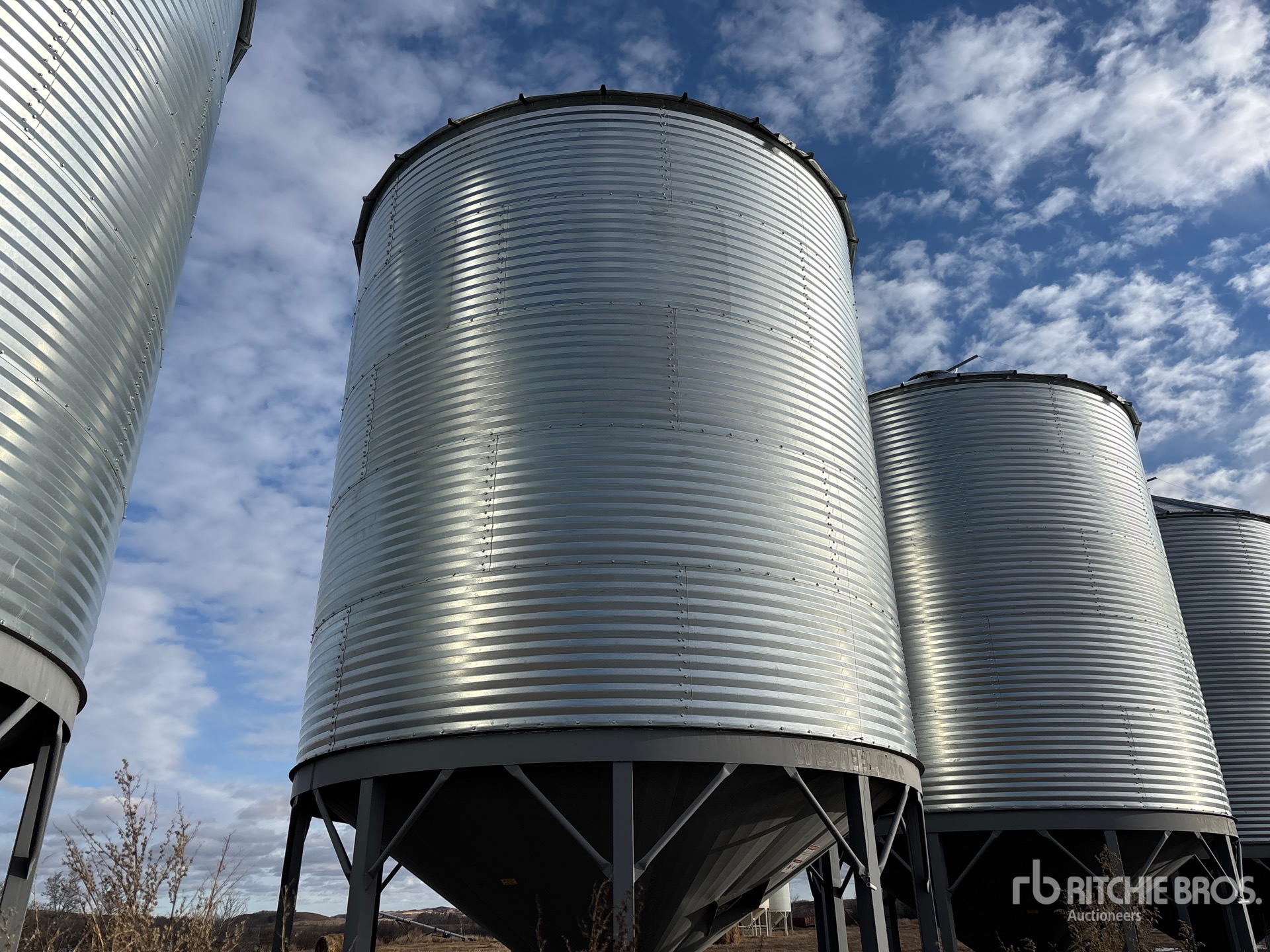 General Appearance with Zdjęcie, lewy dolny róg