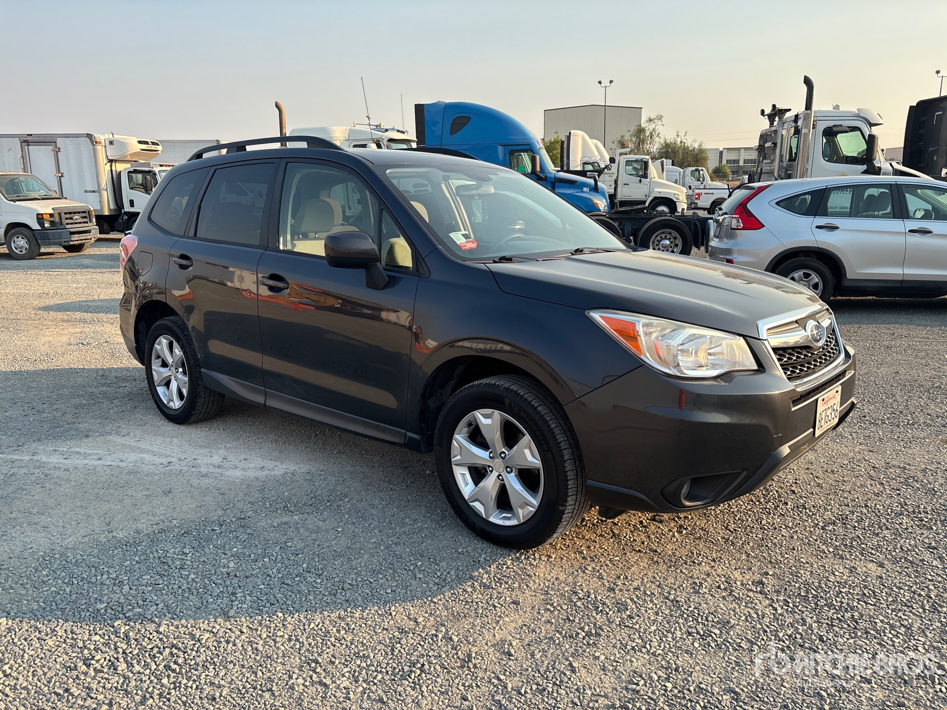 General Appearance with Picture, Right Front Corner