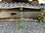 Undercarriage with 