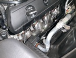 Engine with Exhaust System