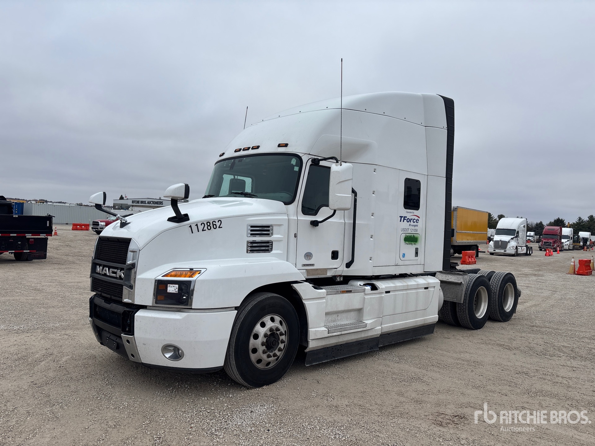 General Appearance with Spin