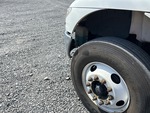 General Appearance with Peinture