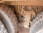 Underbody with 