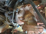 Engine with Exhaust System