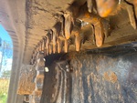 Rubber Track Undercarriage with 