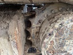 Undercarriage with 